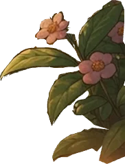 Cluster of wildflowers and foliage