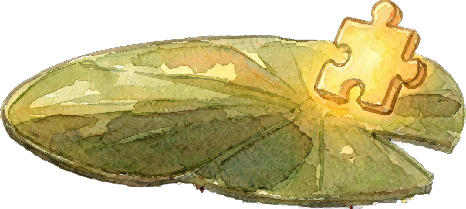 Lily pad with puzzle piece